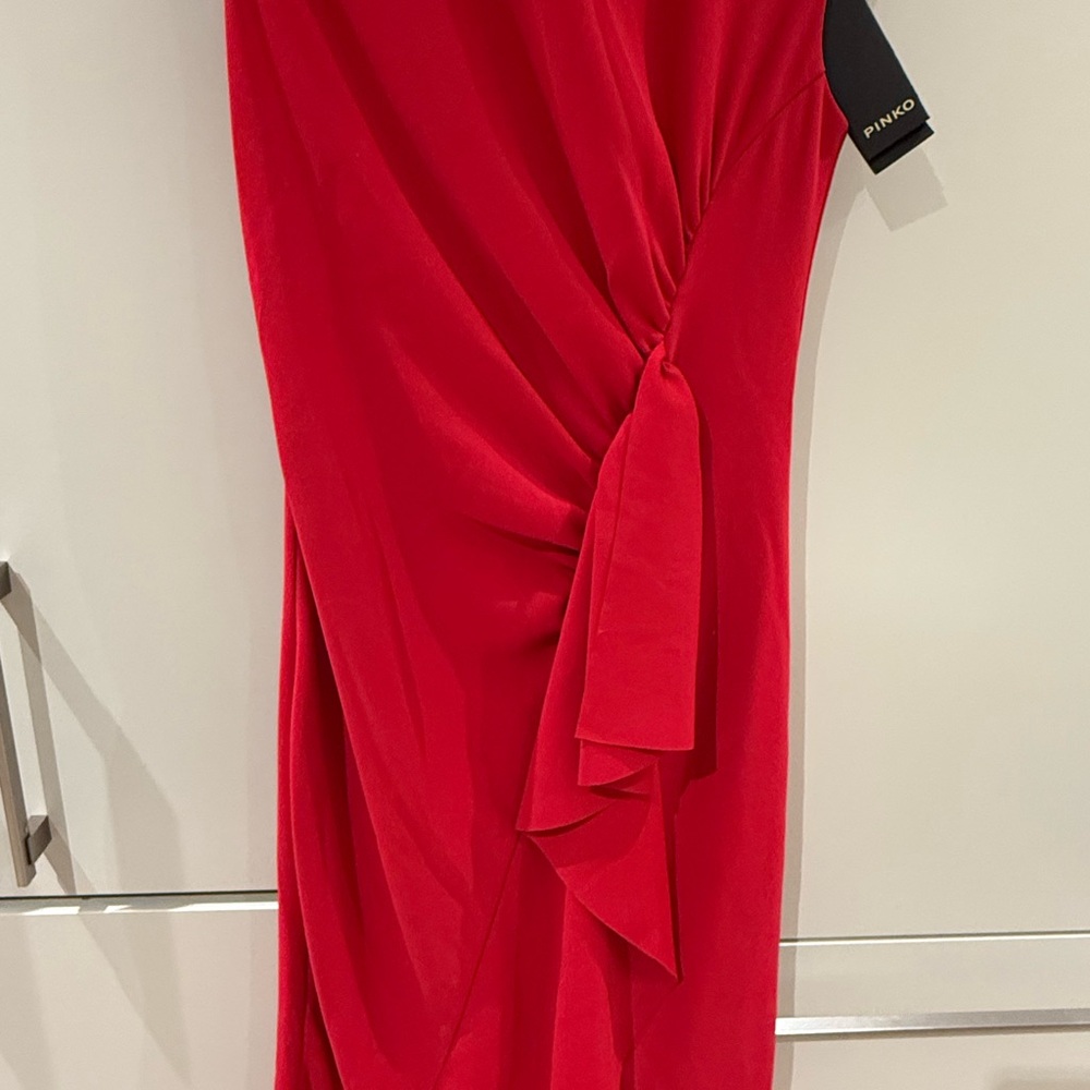 Pinko shift dress - Picture 2 of 7